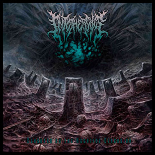 INTO THE ASHES - Consumed by the Negative Dimension