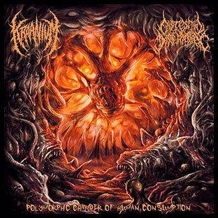 KRAANIUM / EXISTENTIAL DISSIPATION - Polymorphic Chamber of Human Consumption - Split CD