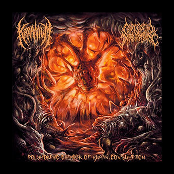 KRAANIUM / EXISTENTIAL DISSIPATION - Polymorphic Chamber of Human Consumption - Split CD