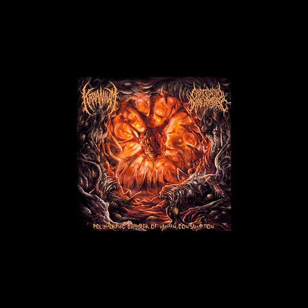 KRAANIUM / EXISTENTIAL DISSIPATION - Polymorphic Chamber of Human Consumption - Split CD