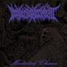 DISEMBODIMENT - Mutated Chaos