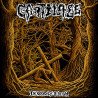CARTILAGE - In Godly Flesh
