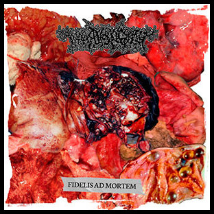 THANATOPSIS (bra) - Fidelis Ad Mortem