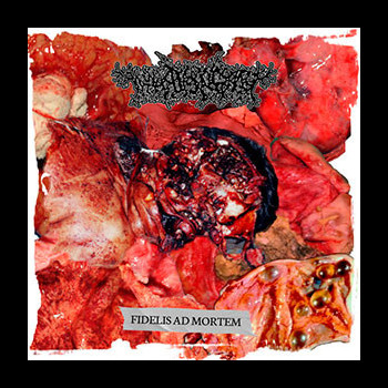 THANATOPSIS (bra) - Fidelis Ad Mortem