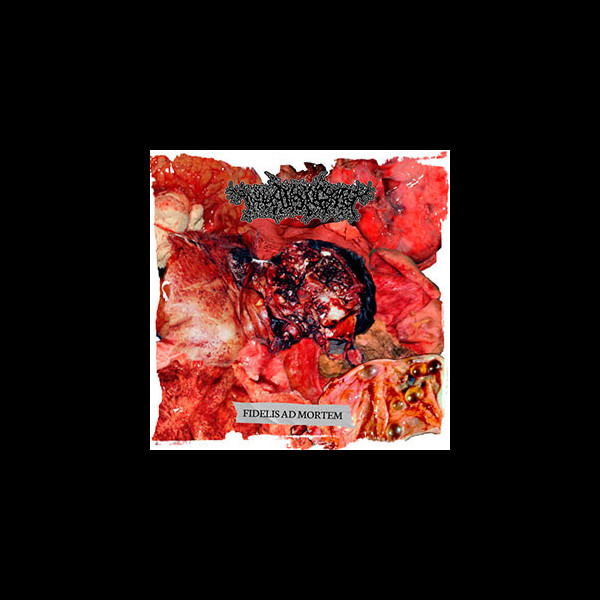 THANATOPSIS (bra) - Fidelis Ad Mortem