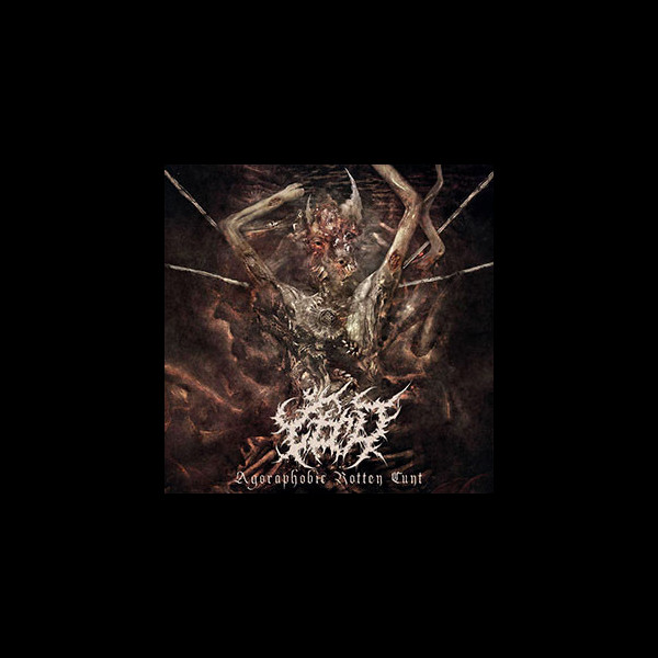 TIMAWA - Agoraphobic Rotten Cunt