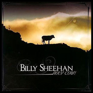 BILLY SHEEHAN - Holy Cow!