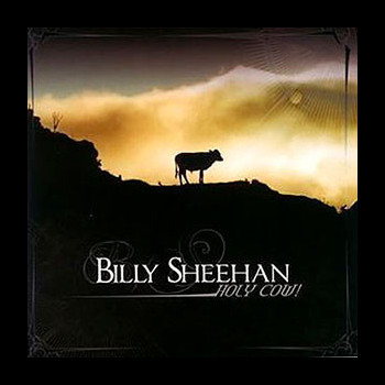 BILLY SHEEHAN - Holy Cow!