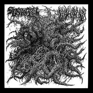 SPECTRAL VOICE / BLOOD INCANTATION - Split EP