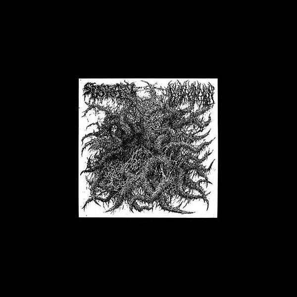 SPECTRAL VOICE / BLOOD INCANTATION - Split EP
