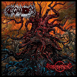 CERCENATORY - Goresphere