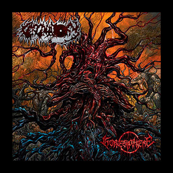 CERCENATORY - Goresphere