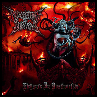 PERCEPTIONS OF TORMENT - Elegance in Postmortem