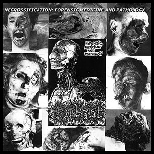 PATHOLOGIST - Forensic Medicine and Pathology