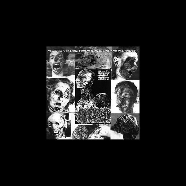 PATHOLOGIST - Forensic Medicine and Pathology