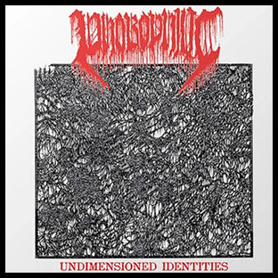PHOBOPHILIC - Undimensioned Identities