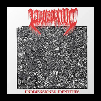PHOBOPHILIC - Undimensioned Identities