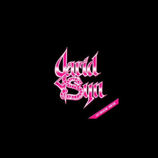 JARID SYN - Save Your Nation