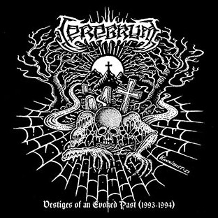 CEREBRUM - Vestiges of an Evoked Past