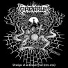 CEREBRUM - Vestiges of an Evoked Past