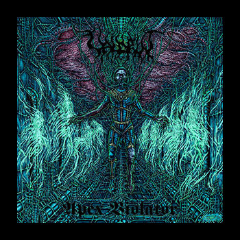 VALDRIN - Apex Violator