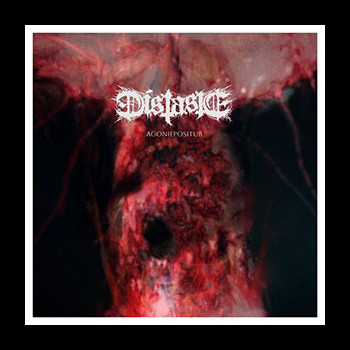 DISTASTE - Agoniepositur