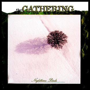 GATHERING, THE - Nighttime Birds [Picture-LP]