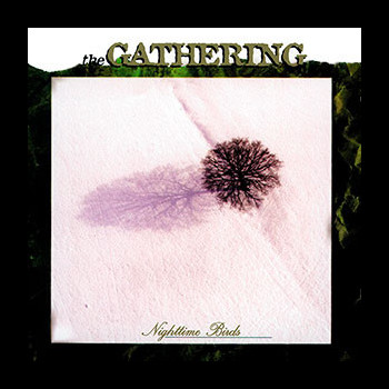 GATHERING, THE - Nighttime Birds [Picture-LP]