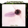 GATHERING, THE - Nighttime Birds [Picture-LP]