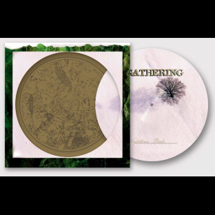 GATHERING, THE - Nighttime Birds [Picture-LP]