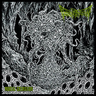 DEFENESTRATION - Mortal Cremation