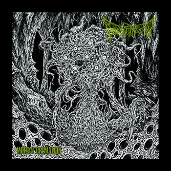 DEFENESTRATION - Mortal Cremation