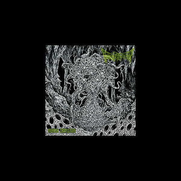 DEFENESTRATION - Mortal Cremation