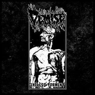 DEMISE - Endless Torment