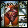 DEADEN - Hymns of the Sick