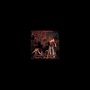DYSCRASIA/PUTRID PILE - Split CD