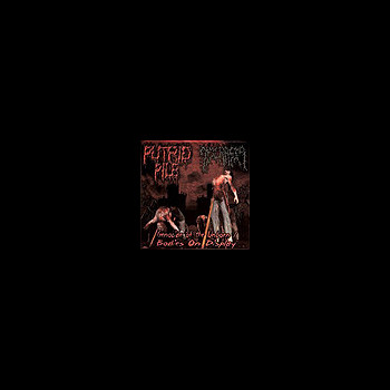DYSCRASIA/PUTRID PILE - Split CD