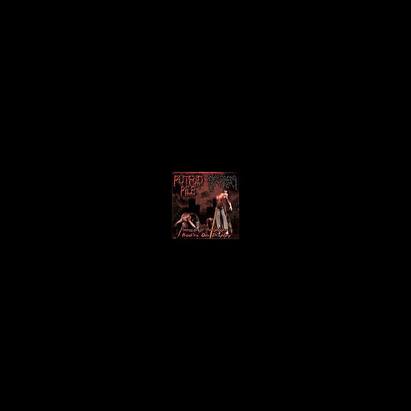 DYSCRASIA/PUTRID PILE - Split CD