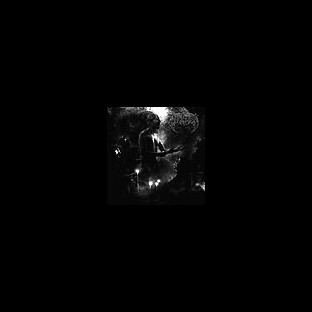 SPELLCRAFT - Stirpe Obscura
