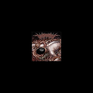 HUMAN REPUGNANCE - Post Mortem Rot Pile