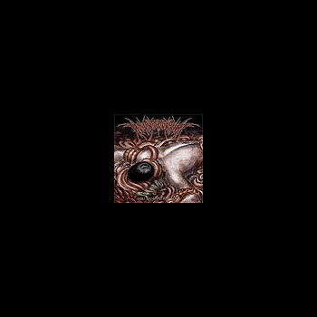 HUMAN REPUGNANCE - Post Mortem Rot Pile