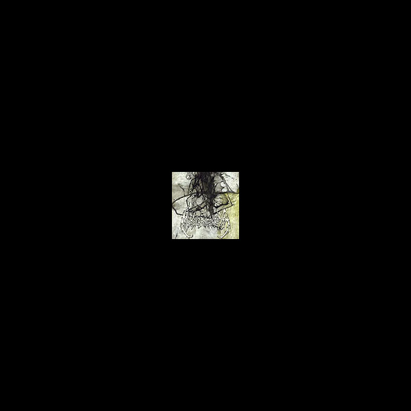 MURDER INTENTIONS - A Prelude to Total Decay