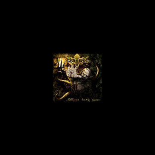 ORDALION - Through Coma of Soul (Сквозь кому души)