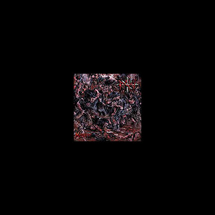 RAW - Moshpit