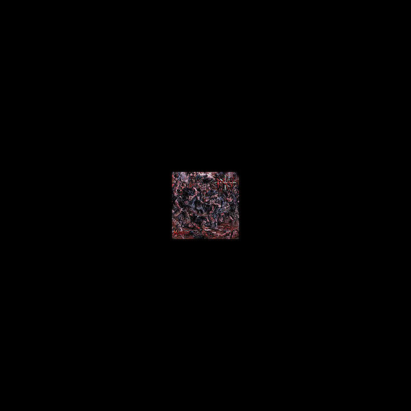 RAW - Moshpit