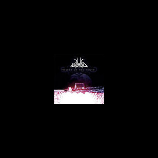 VOID, THE - Vision of the Truth