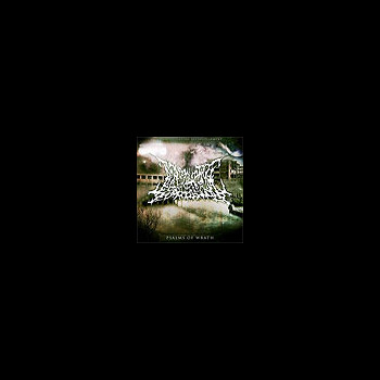 DISARTICULATING EXTINGUISHMENT - Psalms of Wrath