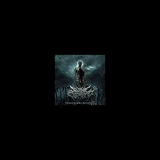SWINE OVERLORD - Parables of Umbral Transcendence
