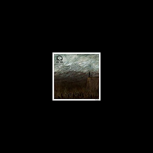 OMEGA SOUL - Void
