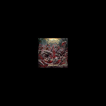 SCREWROT - Deranged Genesis